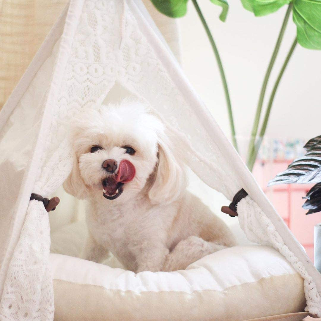Stylish 24-Inch Portable Pet Teepee Tent for Dogs and Cats - Lace Design, No Cushion