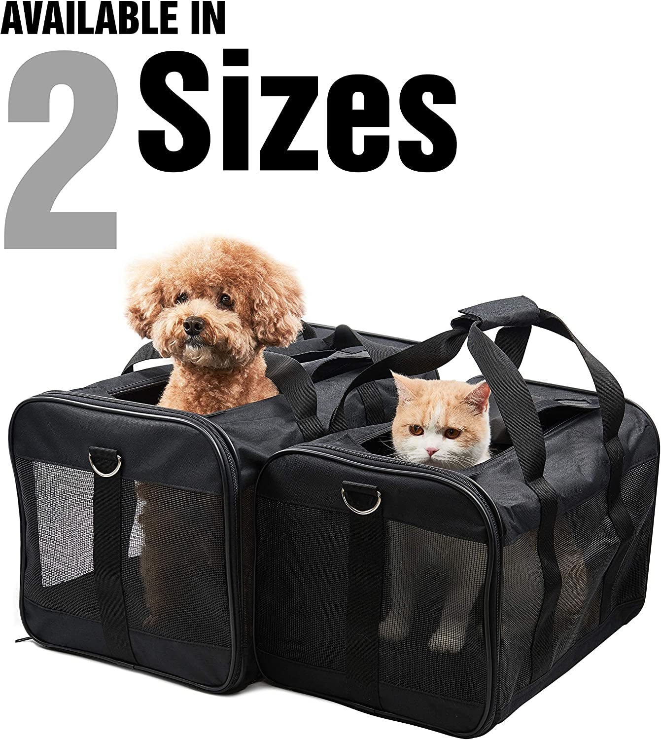 Scratchme Airline Approved Soft Sided Pet Travel Carrier - Collapsible, Durable Bag for Cats, Small Dogs, Kittens & Puppies (Medium) - Travel Safely & Comfortably with Your Pet!