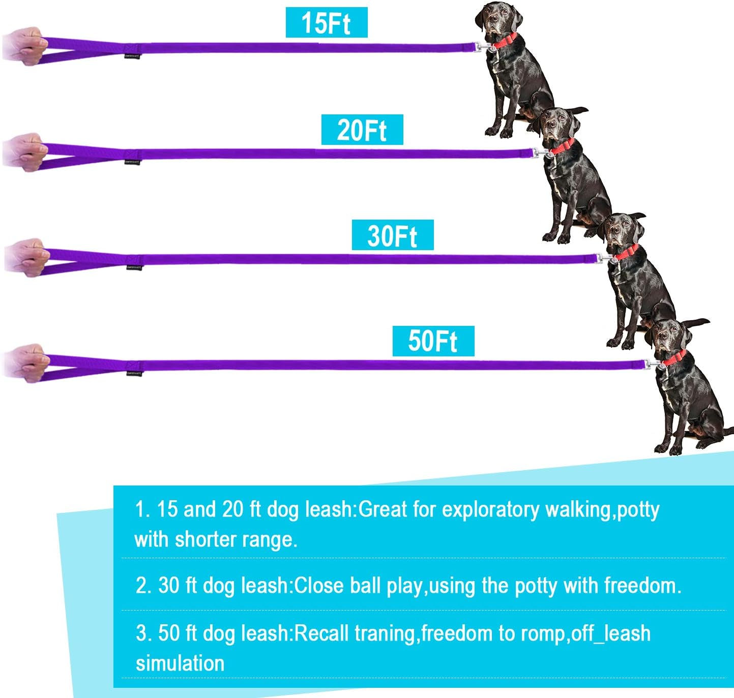 Durable 15 Ft Purple Leash for Dog and Cat Training, Play, and Camping - Perfect for Small to Medium Pets