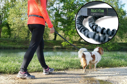 Ultimate Hands-Free Dog Leash | Adjustable Bungee Waist Belt for All Breeds - Perfect for Walking & Running (36" - 48") - Up to 150 Lbs - Stylish Gray Design