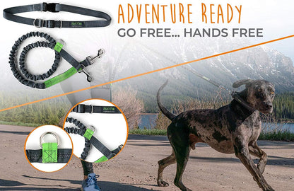 Ultimate Hands-Free Dog Leash | Adjustable Bungee Waist Belt for All Breeds - Perfect for Walking & Running (36" - 48") - Up to 150 Lbs - Stylish Gray Design